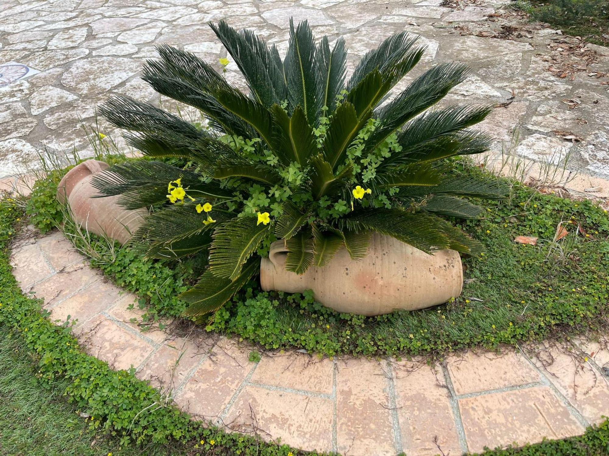 シャッカ Fiori Di Campoヴィラ エクステリア 写真